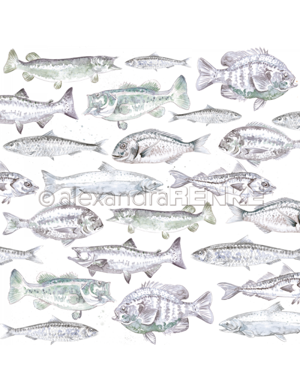 Alexandra Renke, Peces Azulados/Bläuliche Fische